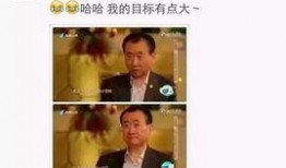 东北打工爆料视频完整版,揭秘真实生活与职场困境