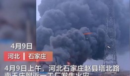 滕州最新爆料事件视频曝光,事件视频曝光，真相究竟如何？