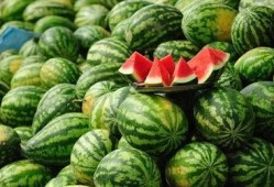 吃瓜免费分享,吃瓜免费分享，畅享美食盛宴