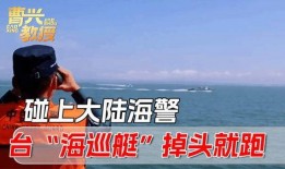 台海民众最新爆料视频,民众视频揭露惊人一幕