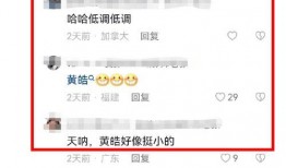 7月3日娱乐爆料视频网,明星动态大揭秘，精彩瞬间一网打尽