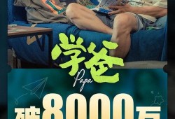 东北打工爆料视频完整版,揭秘真实生活与职场困境