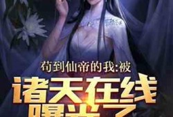爆料小说视频在线观看,在线观看，沉浸式体验小说世界