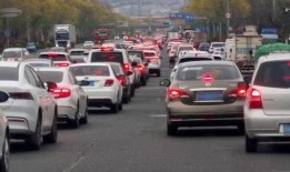 堵车 在线观看